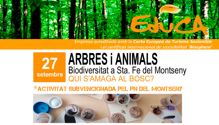 Viladrau Passejada "Arbres i animals. Biodiversitat a Sta. Fe del Montseny"