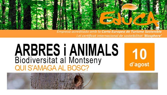 Viladrau Passejada "Arbres i animals. Biodiversitat al Montseny"