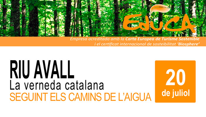 Viladrau Passejada "Riu avall. La verneda catalana. Seguint els camins de l'aigua"