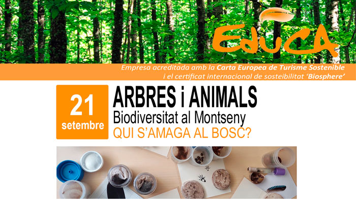Viladrau Passejada "Arbres i animals. Biodiversitat al Montseny"