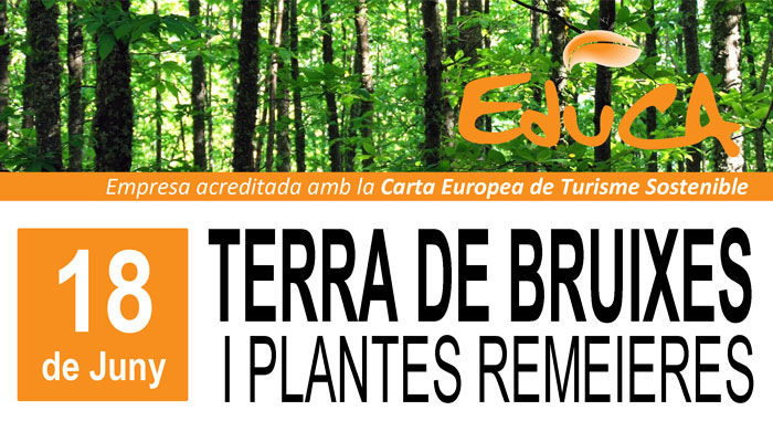 Viladrau Terra de Bruixes i Plantes Remeieres